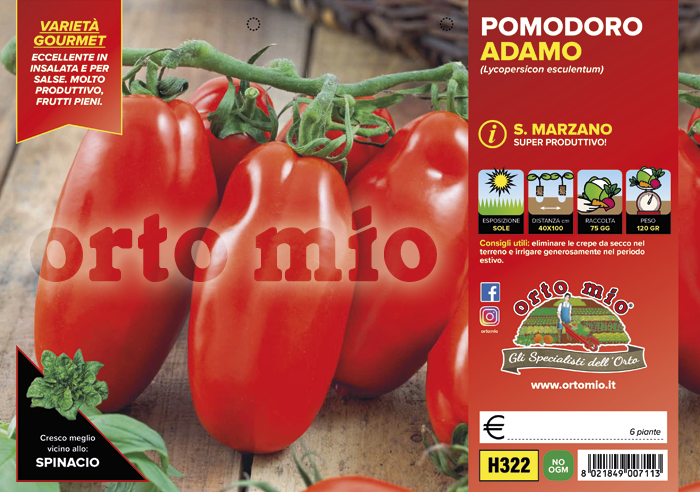 Piantine di Pomodoro Piccadilly vesuviano