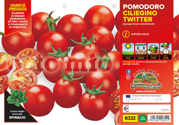 Piantine di Pomodoro Piccadilly vesuviano