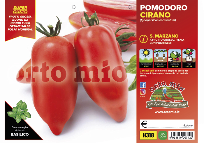 Piantine di Pomodoro Piccadilly vesuviano