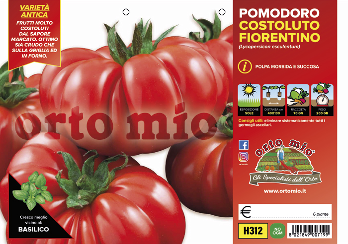 Piantine di Pomodoro Piccadilly vesuviano