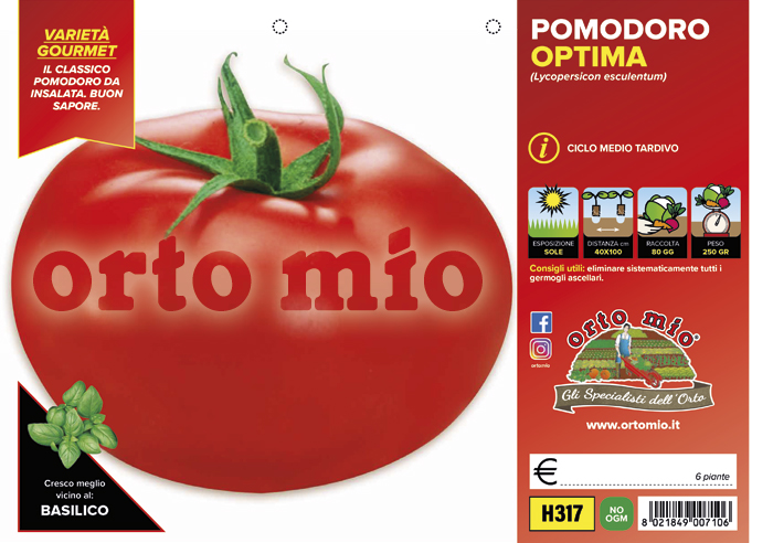 Piantine di Pomodoro Piccadilly vesuviano