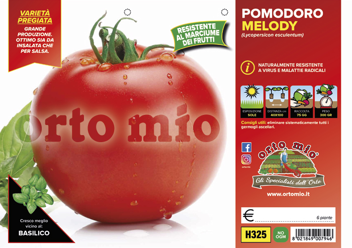 Piantine di Pomodoro Piccadilly vesuviano