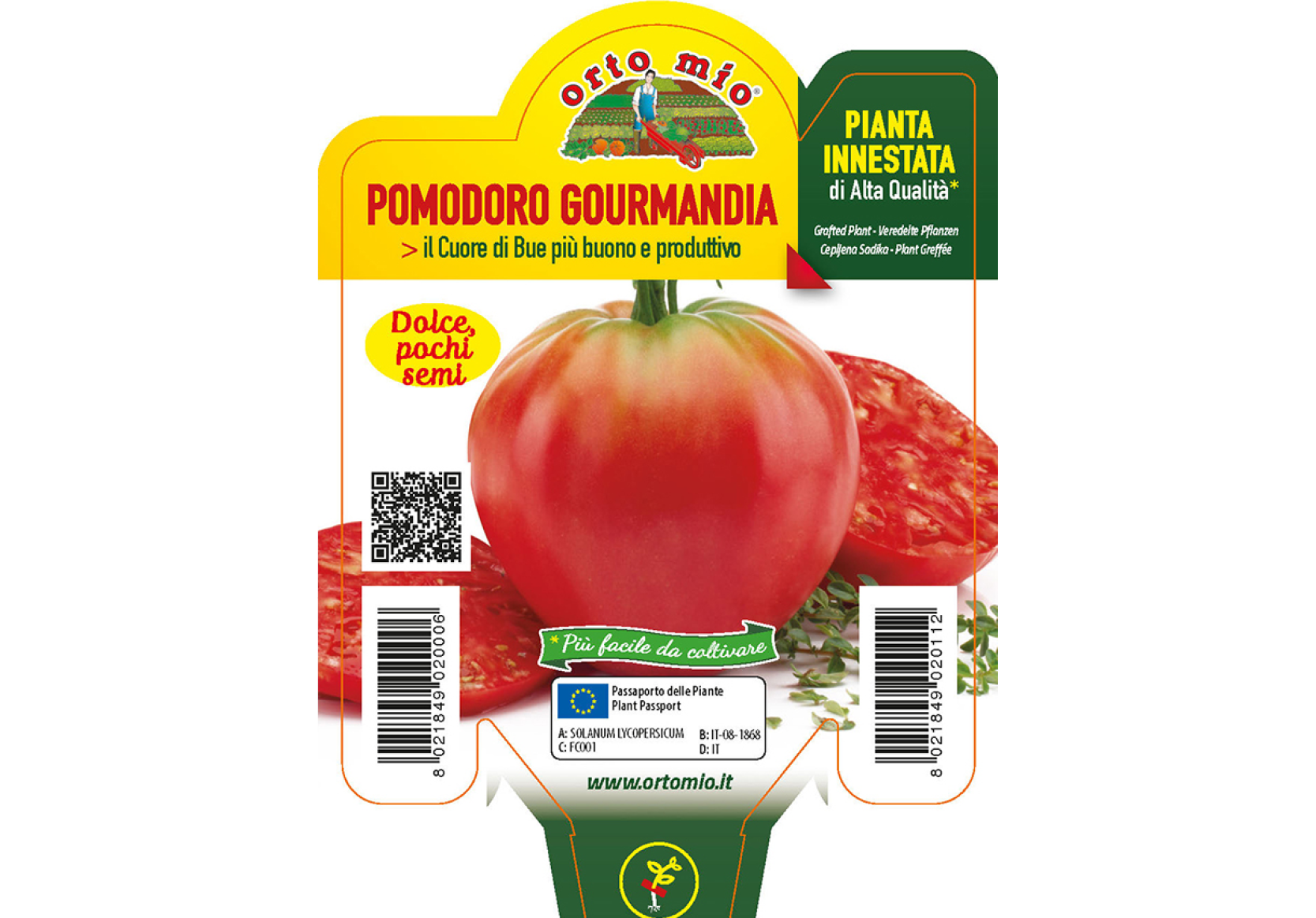 Piantine di Pomodoro Cuore di Bue Gourmandia