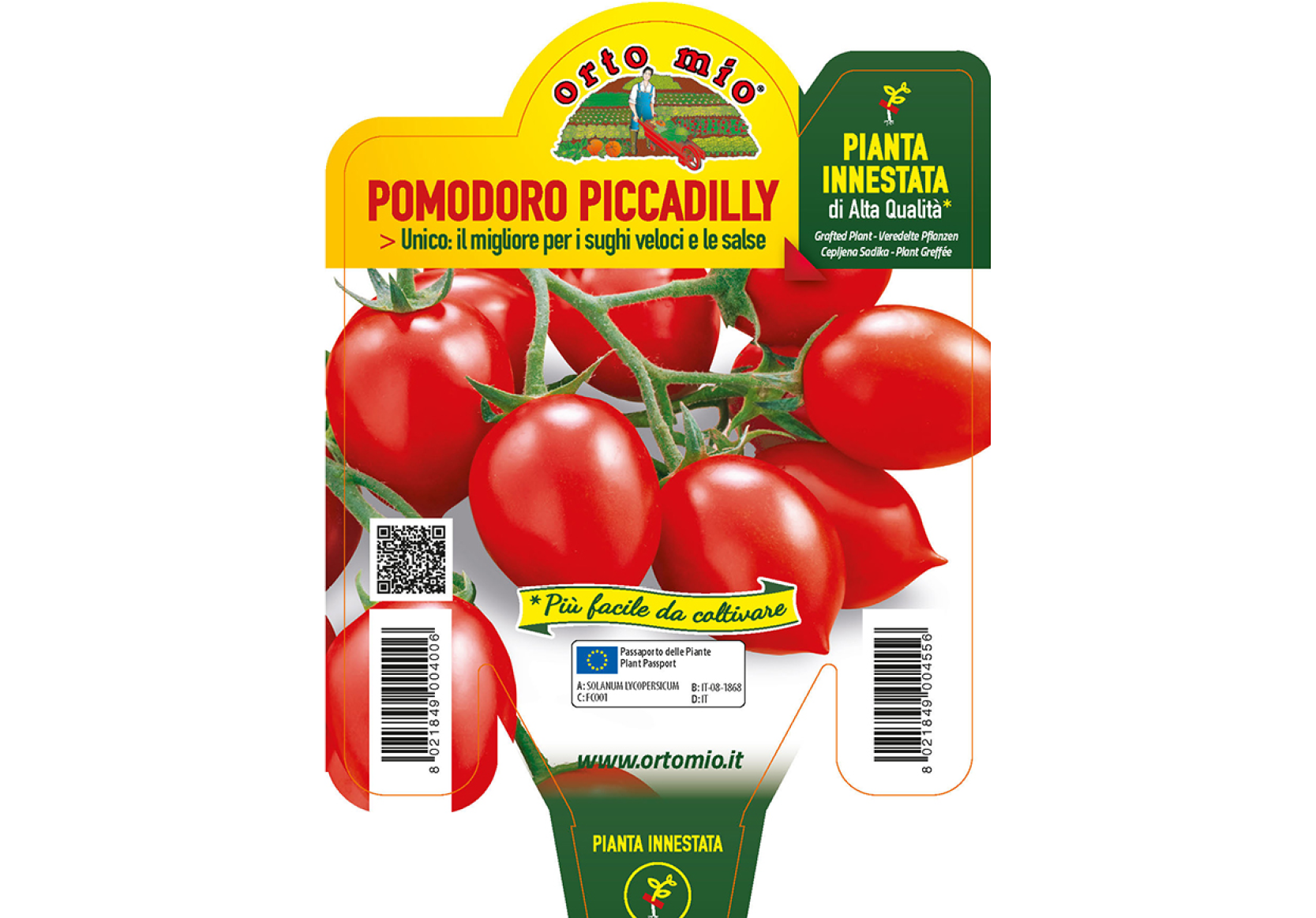 Piantine di Pomodoro Piccadilly vesuviano