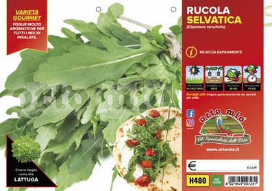 Piantine di Spinaci, Rucola e Valeriana