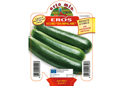 Piantine di Zucchino scuro da palo Eros F1